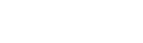 Logo IUV